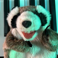 Rando Raccoon