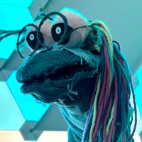 Zonoma